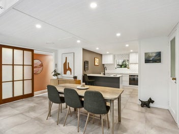 A Hidden World of Wonder in Laingholm