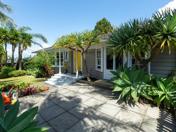 History Meets Potential