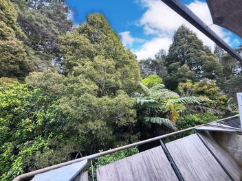 Beginners Luck for Budget Buyers in Birkenhead