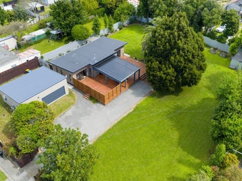 SHANNON STUNNER - ENTERTAINERS DREAM