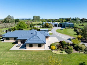 Stockfeed business and lifestyle land