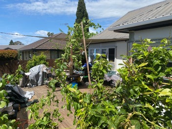 Mortgagee sale - character freehold opportunity