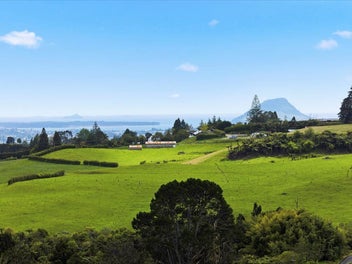 VIEWS and MAGNIFICENT Home!