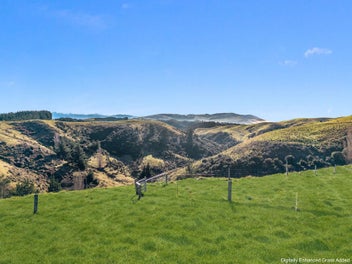 Stunning Hillside Lifestyle Block