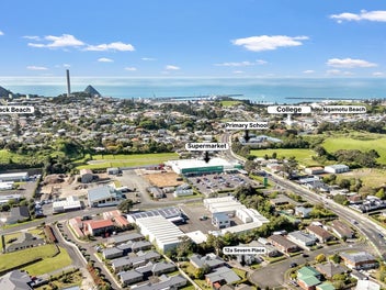 Blending Family and Function