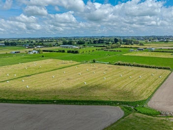 Prime location - 10.016 hectares