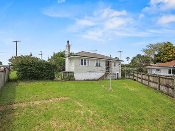 Good Bones That Need Love