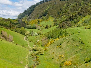 Productive Farmland Meets Timeless Rural Beauty