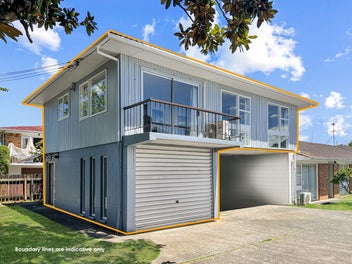 Mt Albert Grammer Zone + Potential