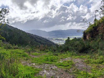 Tranquil bush retreat with stunning views