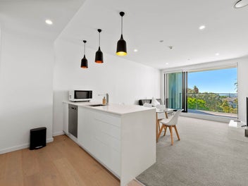 Near New Apartment with City and Harbour View