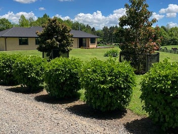 Breathtaking Vista - Ultimate Lifestyle