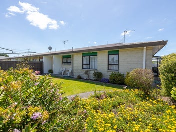 Bird Sanctuary Brick Beauty!