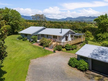 Kaimai Views and Birdsong