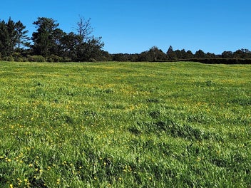 A river on the boundary