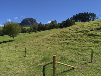 North-Facing Lifestyle Block with Power Onsite