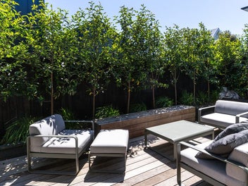 High-Spec, High-Impact