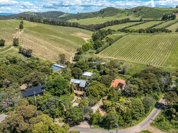Near the sand, close to the vines