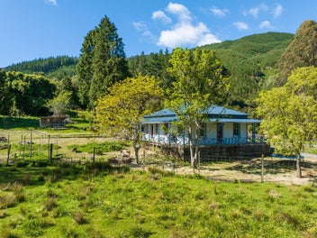 Vendors on the move - must be sold!