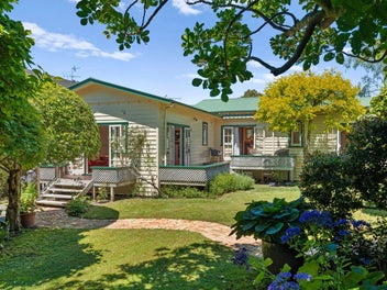 Disregard CV - Genuine DGZ gem