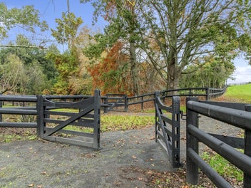 The Ultimate Canvas. No Limits. No Covenants.