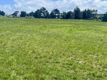 Value in Otatara - $229,000