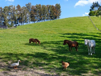 Unrivalled tranquillity