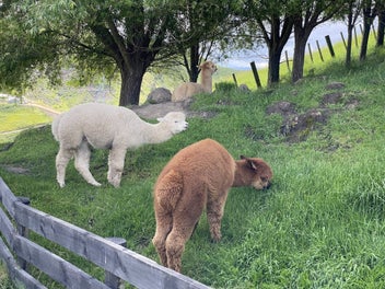 Bel Voir - Peace, Tranquility, Security & Safety