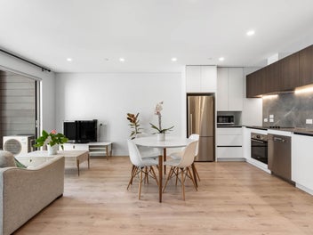 Designer Apartment in Central Albany - Must Sell