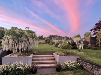 Country estate, two homes and large shedding