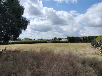 Large Prime Tamahere Section