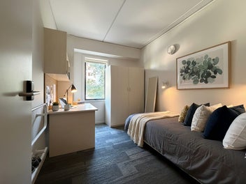 Best Investment in Auckland?