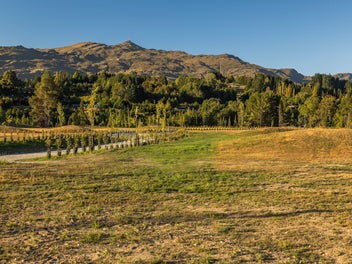 Tullamore Lane, Dalefield