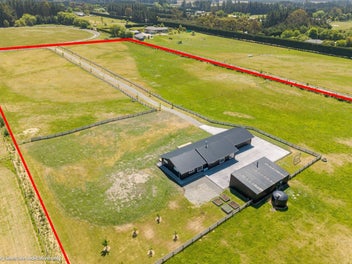 Lifestyle living for Christmas