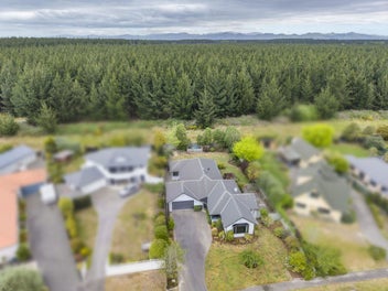 Backing onto the forest