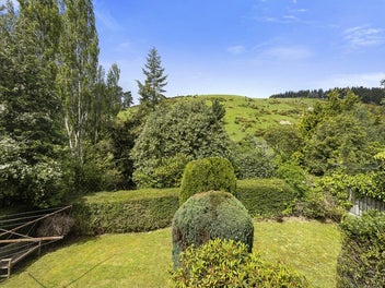 Affordable, Sunny, and Full of Potential