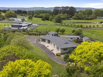 Picturesque and Packed with Potential