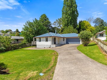 Packed with Potential!