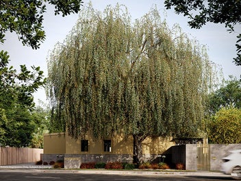 Willow – 6 Brand New Townhouses