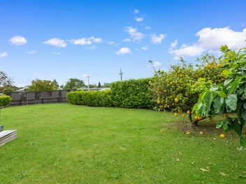 Your Perfect Christmas Gift Awaits!