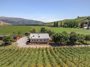 Rustic Elegance: Equestrian and Vineyard Potential