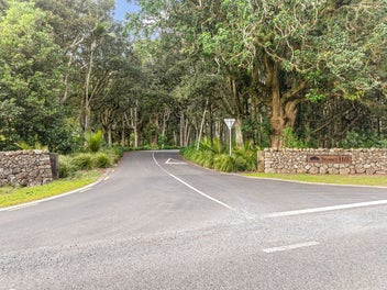 Vendor Says Bring an Offer!