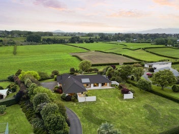 Your Summer Entertainer Awaits