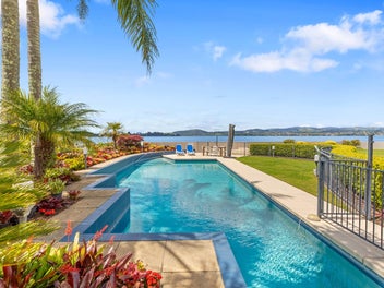 First Time To Market In 20 years!