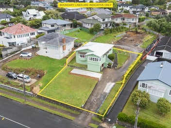 Packed with Potential!