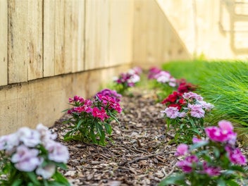 Welcome to Elina Way - 3 Bedroom