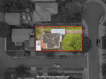 Mt Albert's Hidden Gem - Mt Albert Grammar Zone!