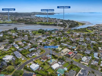 SOLID BONES BIG POTENTIAL!!