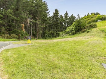 Elevated Section in established Neighborhood