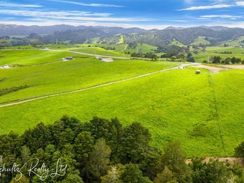 Prime Lifestyle Opportunity